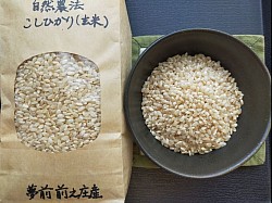 自然農法コシヒカリ玄米